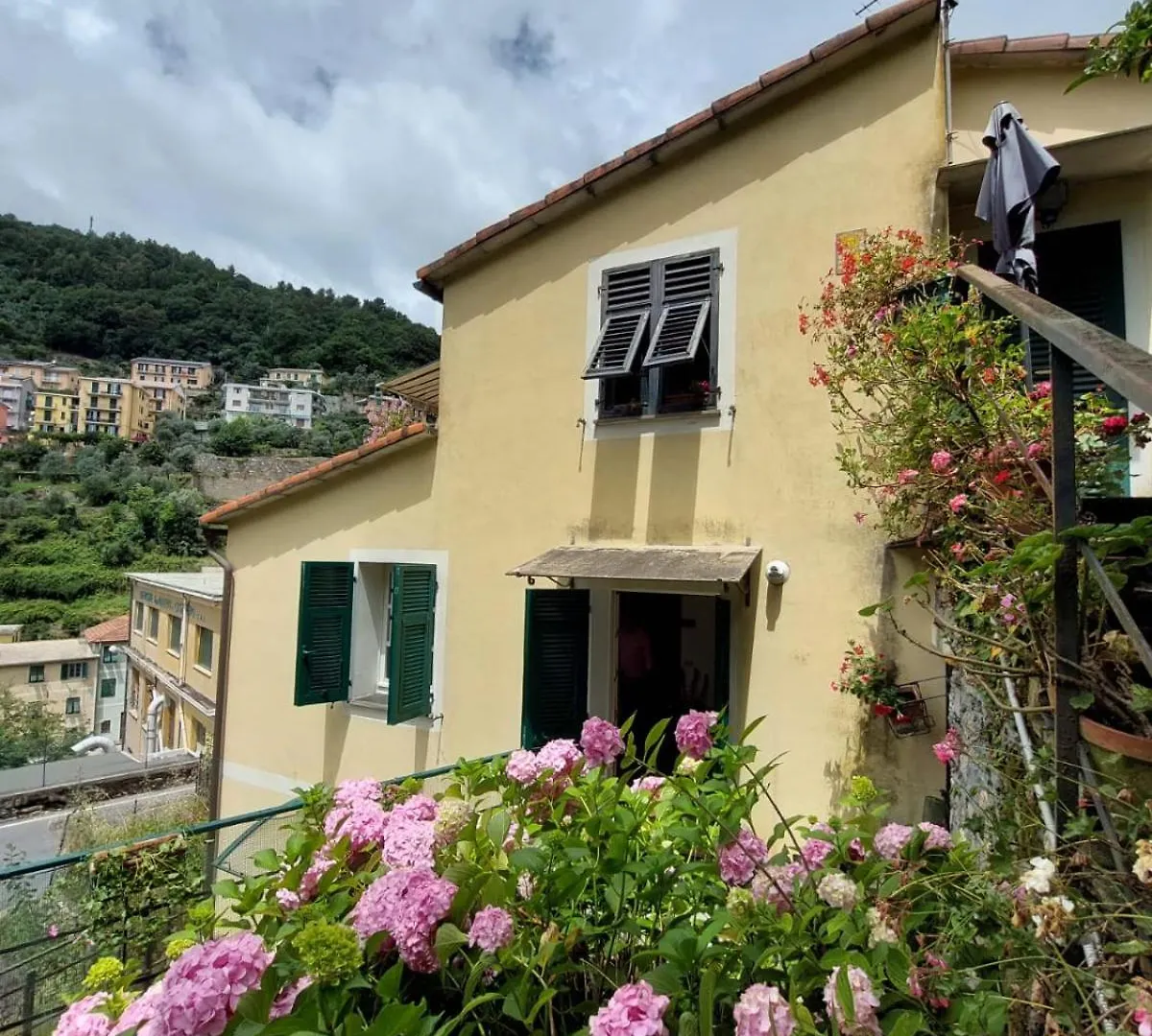 Pupetta Garden Apartment Sori