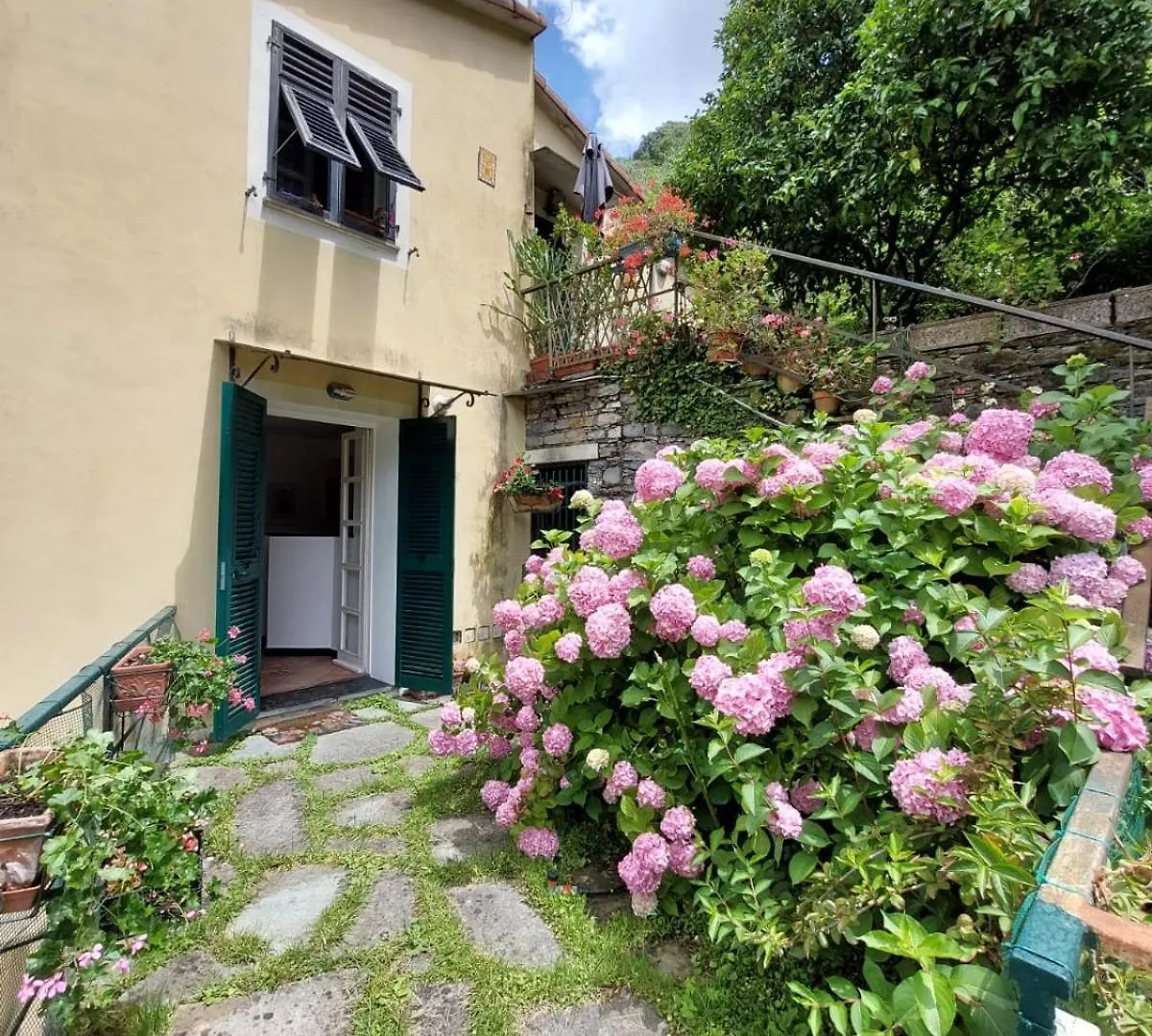 Pupetta Garden Apartment Sori